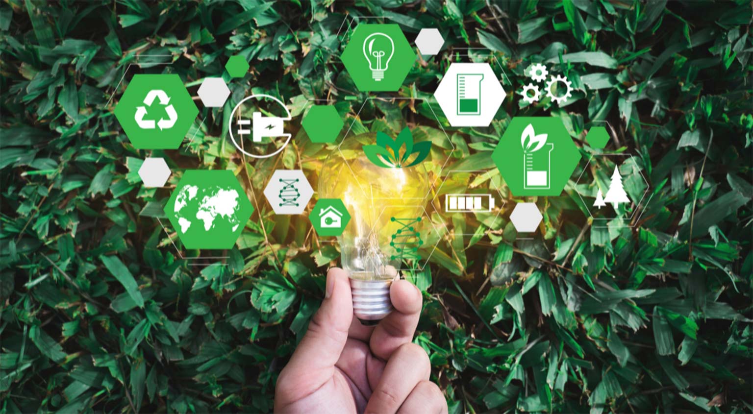 Why Your Business Should Focus on Sustainability in 2022; Plus 3 Ways to Help