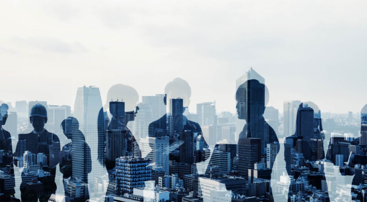 Business Communications in Springfield, Illinois